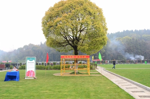 清明临近,千子星空陵园已迎来第一波祭扫小高峰